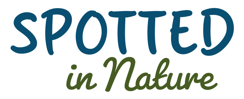 Spotted in Nature Logo